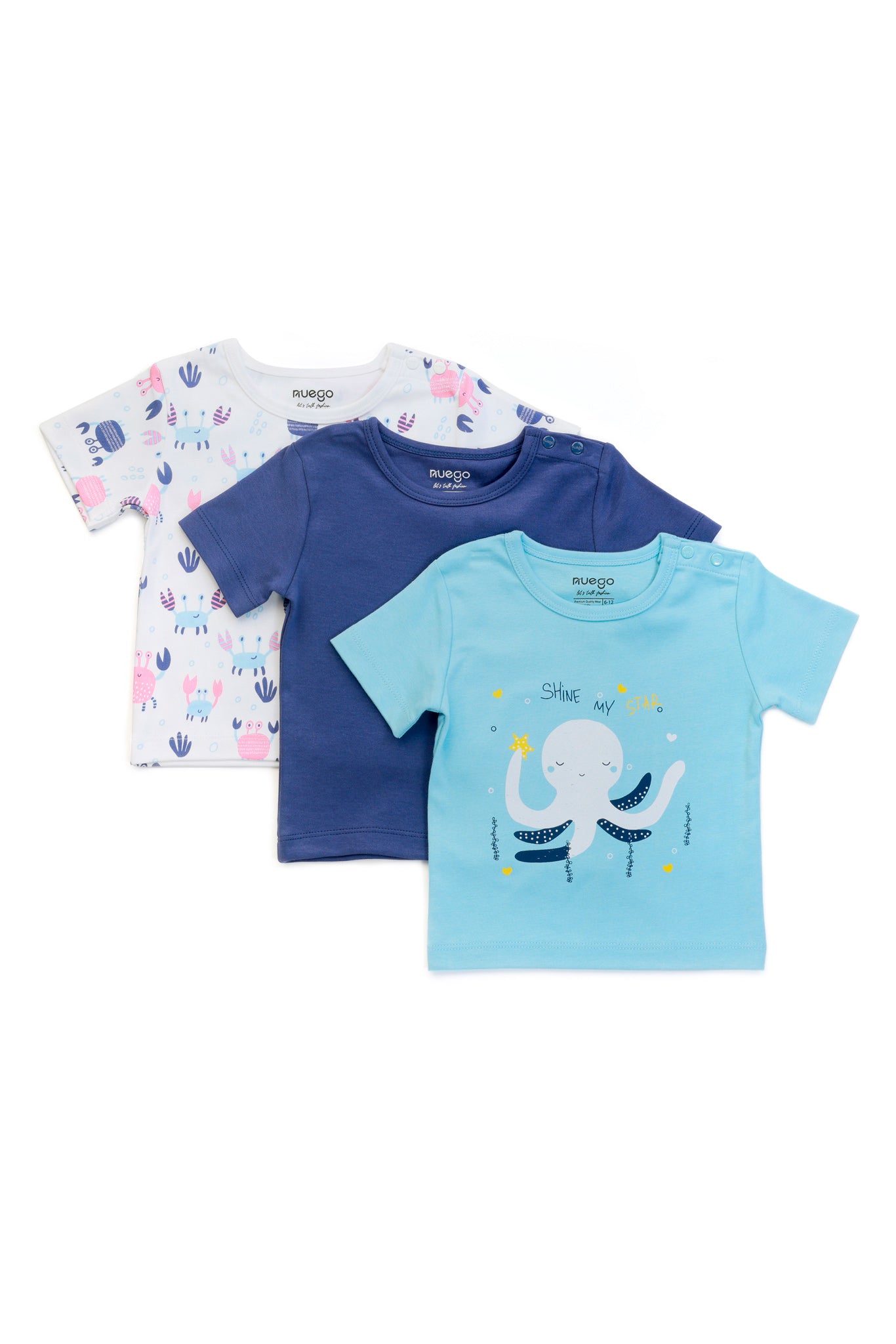 BBY-FTS-0003