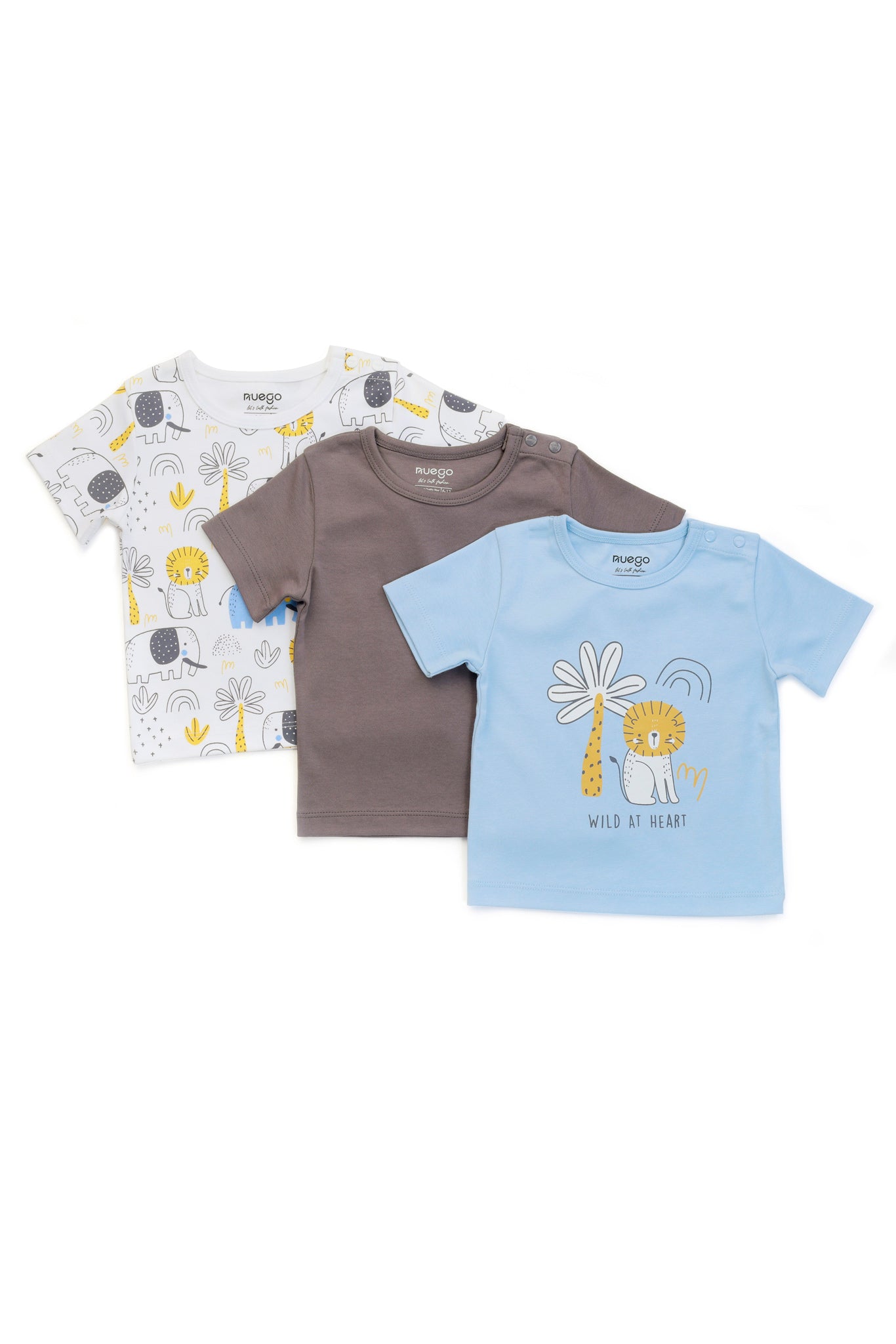 BBY-FTS-0004