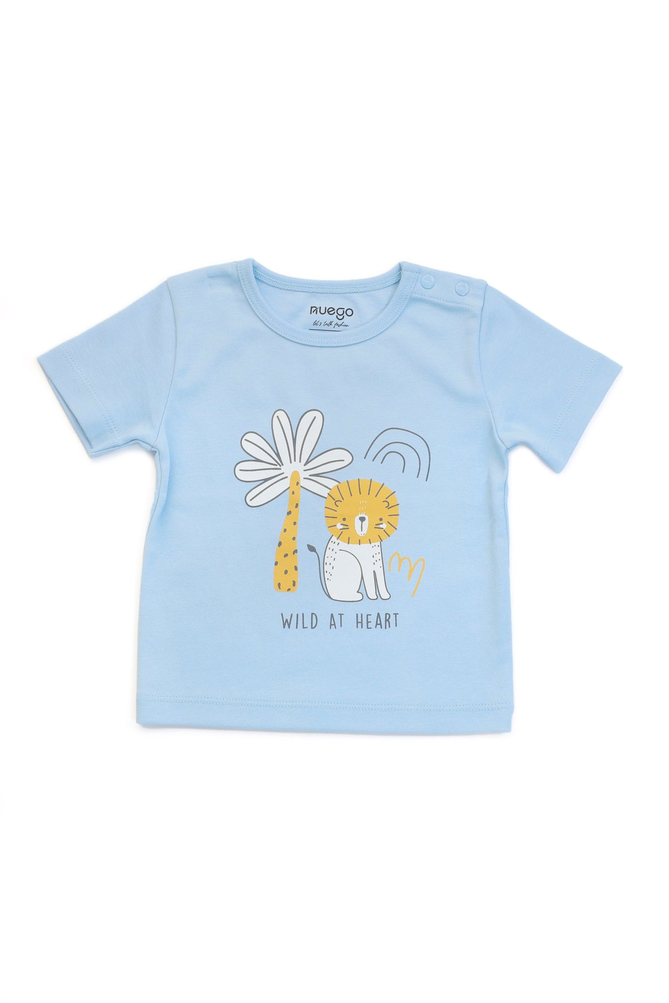 BBY-FTS-0004