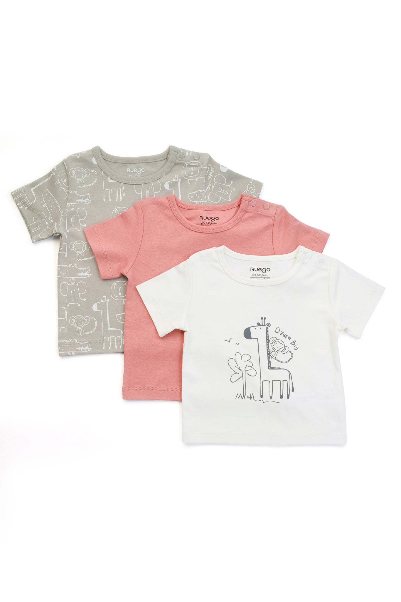 BBY-FTS-0005