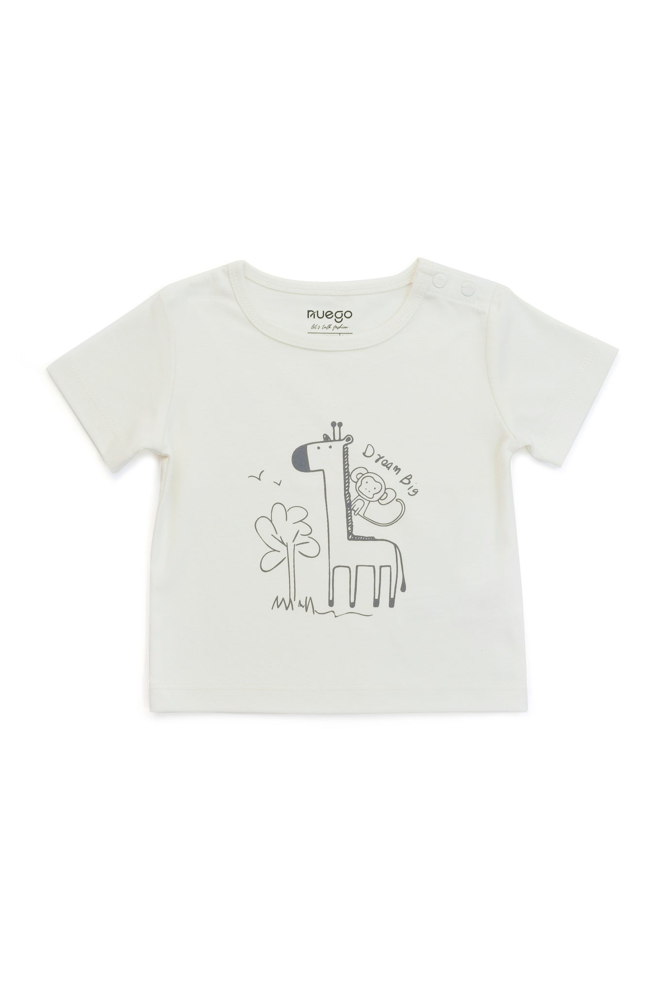 BBY-FTS-0005