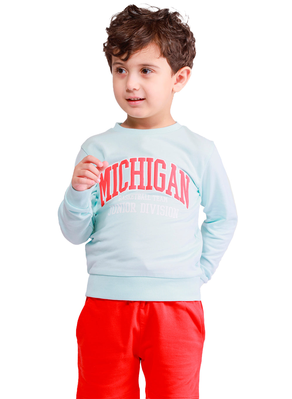 Full Sleeve Toddler Boys Sweatshirt Made of Pure Cotton Fabric